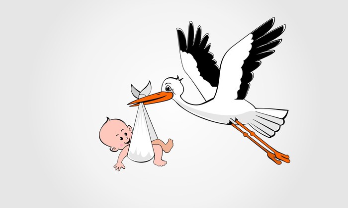 Stork-and-Baby.jpg